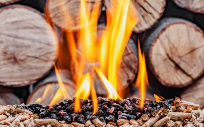 Eco-Friendly Chimney Use: Sustainable Fireplace Tips